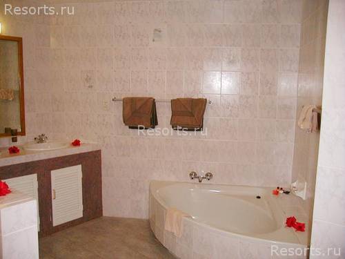 Black Parrot Suites Superior 7